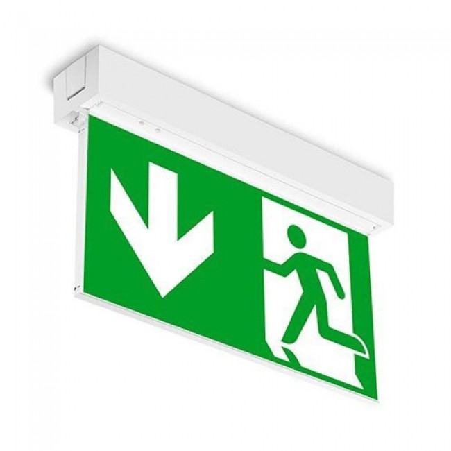 Exit Light Hanging Green