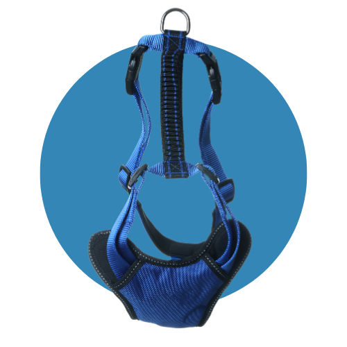 Body harness